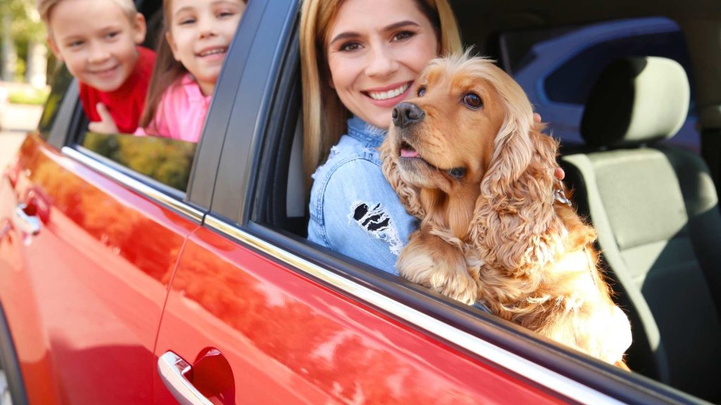 Madre e hijos sonriendo en un coche rojo con su perro Cocker Spaniel durante un viaje por carretera.