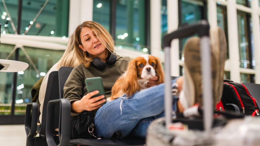 Mujer con perro Cavalier King Charles en un aeropuerto usando su móvil junto a una maleta.