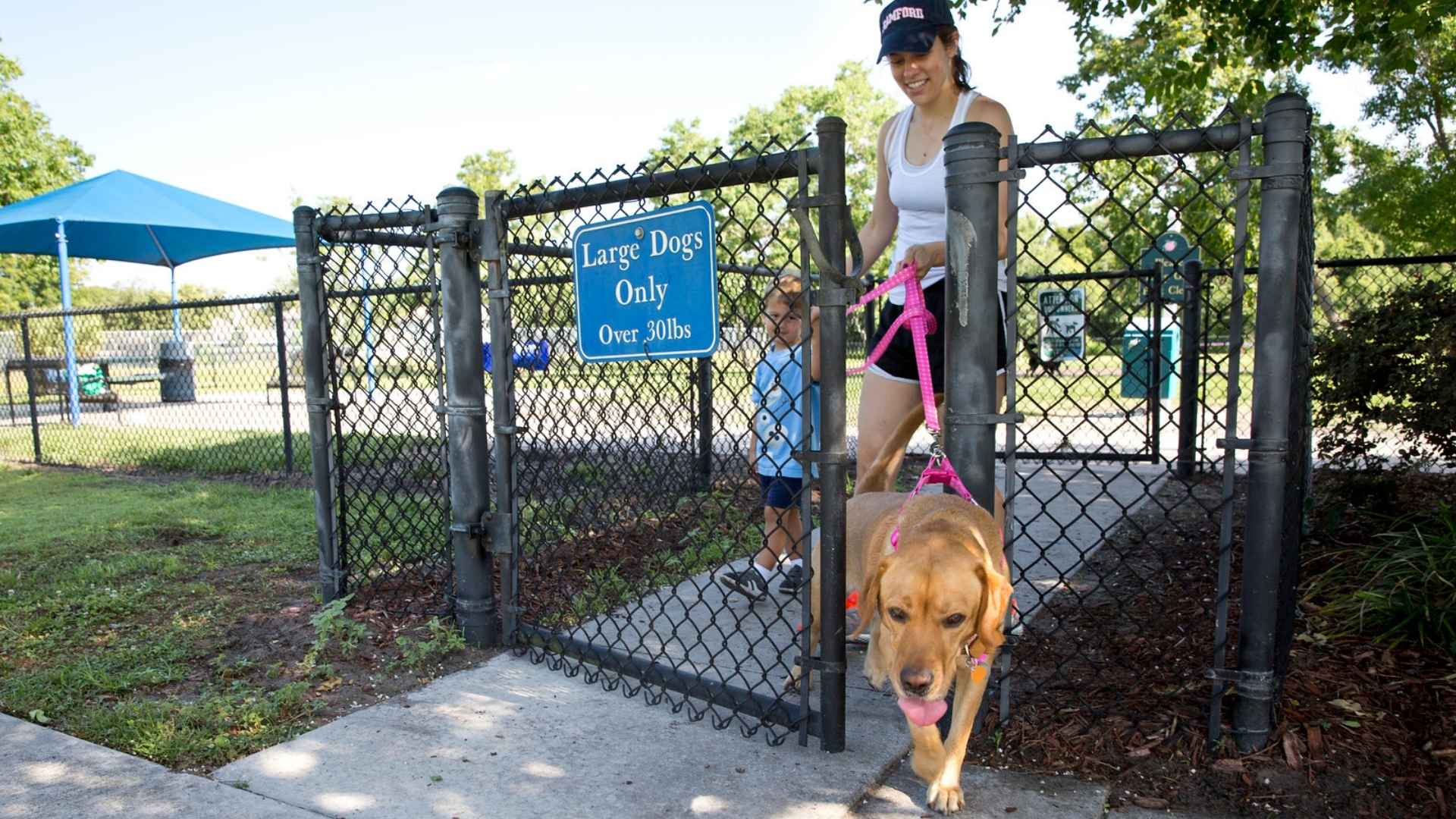 parques-restaurantes-pet-friendly-orlando-1