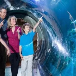 familia-tunel-acuario-plan-bajo-techo-orlando