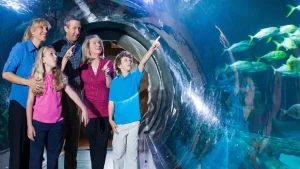 Familia señalando peces tropicales en túnel de acuario, plan bajo techo